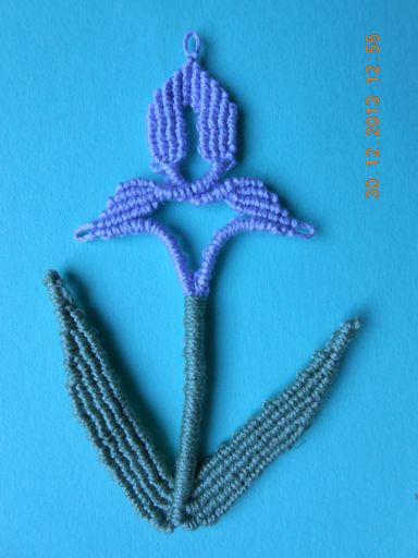 Iris
