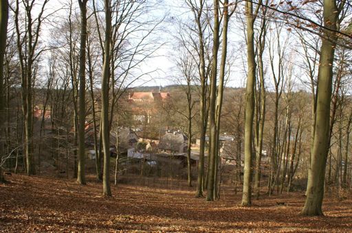 Blick vom Weinberg